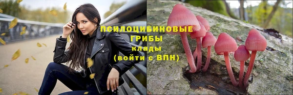 не бодяженный Лабытнанги